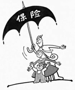 保險基礎(chǔ)知識